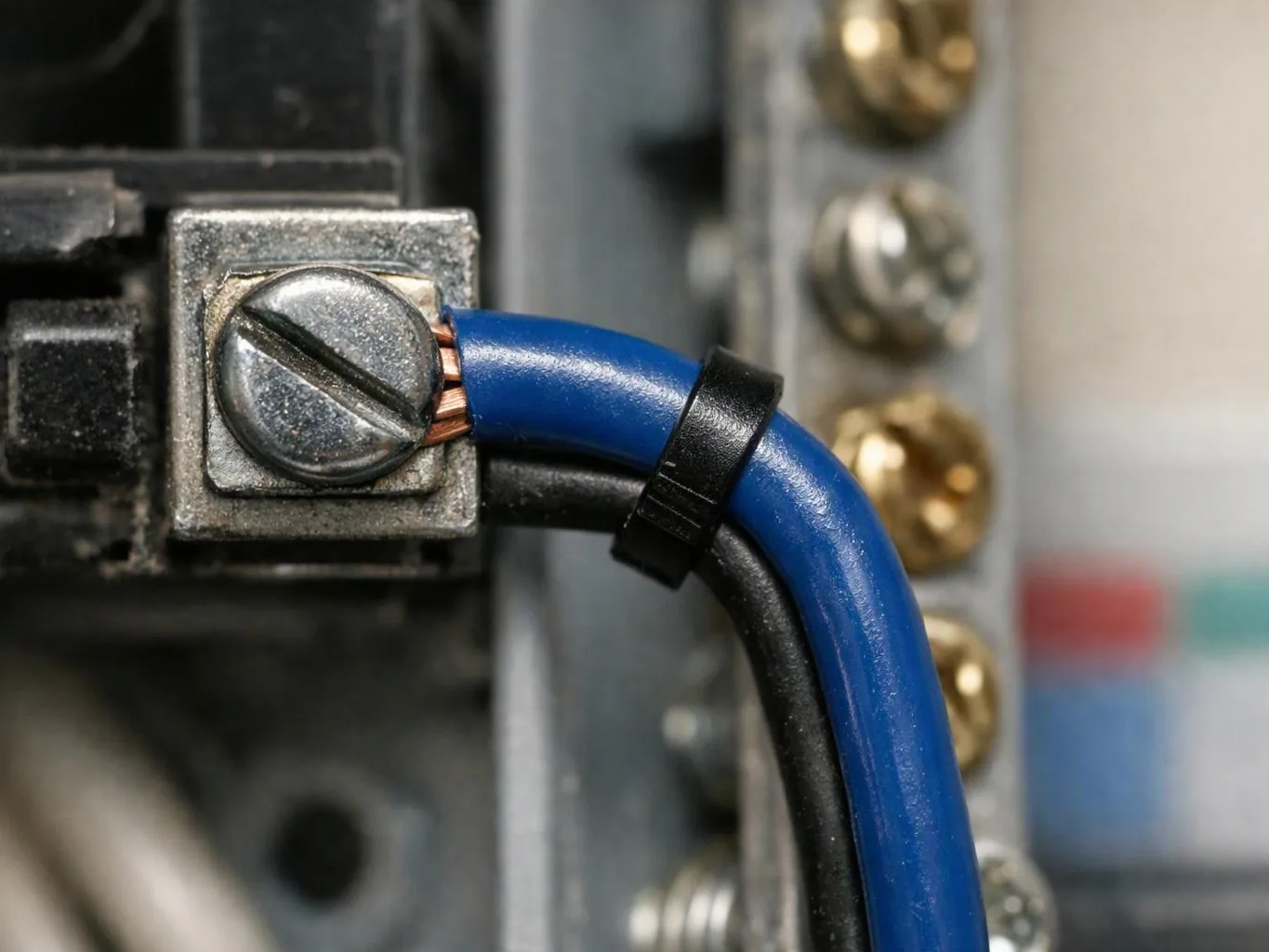 Close-up of a blue and black wire secured under a metal screw terminal inside an electrical panel